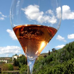 Урок-дегустация 3. Розовые вина Франции. Дегустационный винный клуб Little Friday